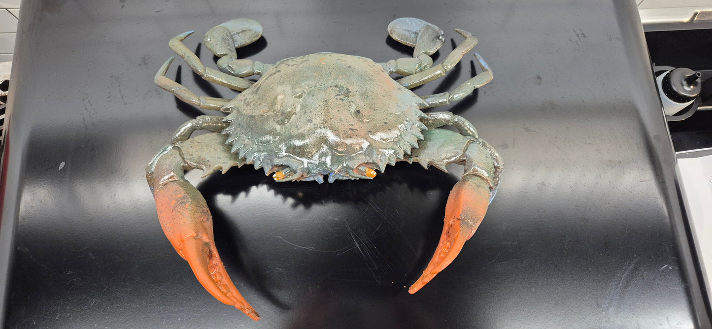 Mud Crab - Artwork