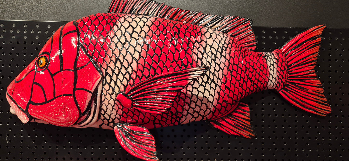 Red Emperor 70cm - Artwork