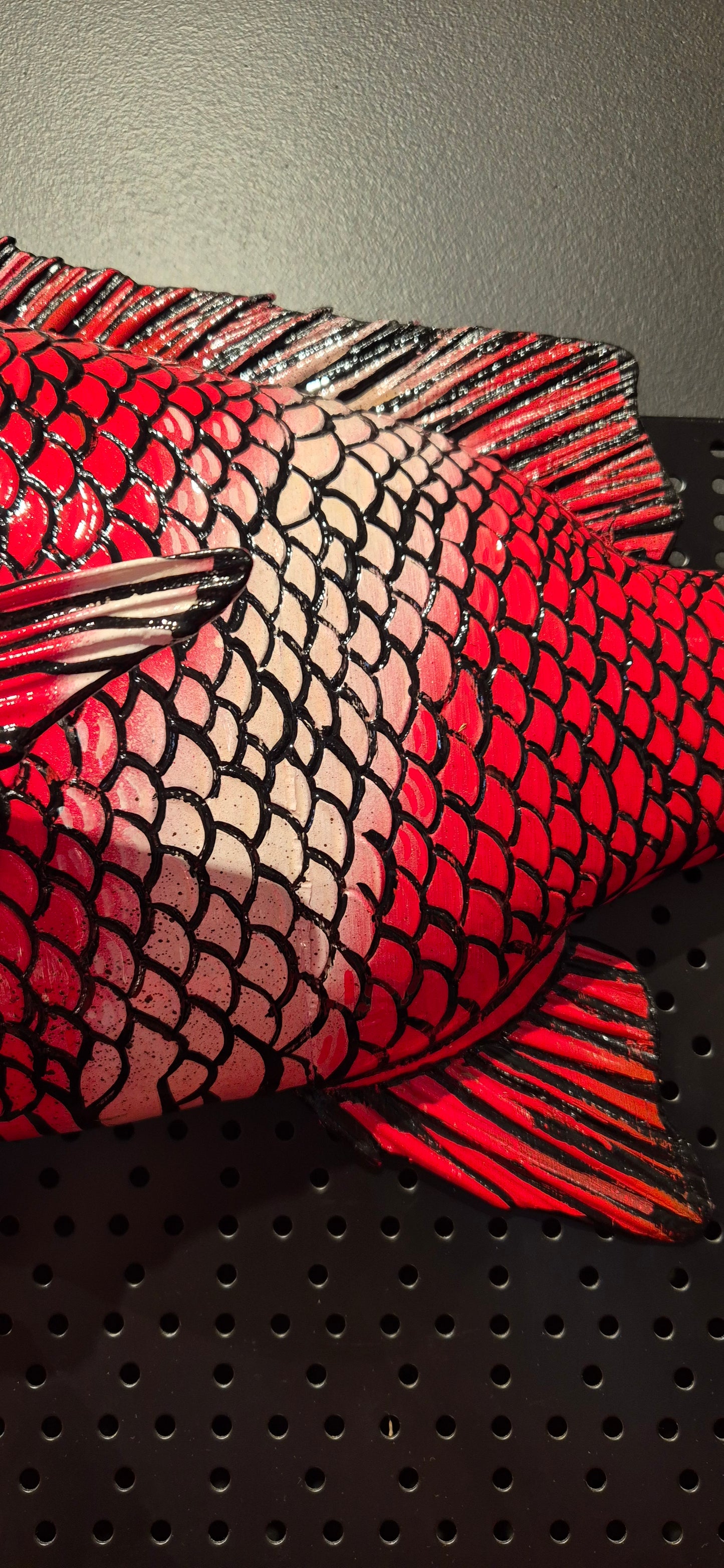 Red Emperor 70cm - Artwork