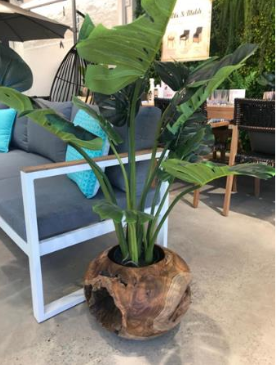 Root Wood Ball Pot Large