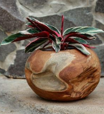 Rootwood Ball Pot Small