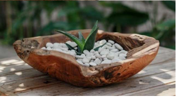 Root wood bowl 30,40,60cm