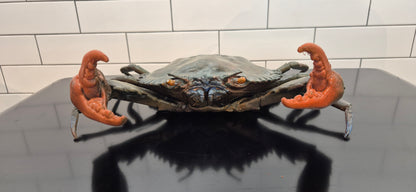 Mud Crab -  Artwork