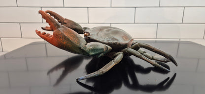 Mud Crab -  Artwork