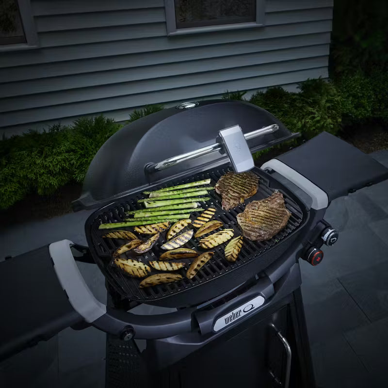 Weber Grill n Go Light Q3X00N+