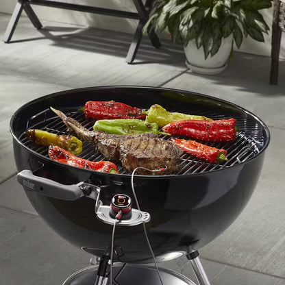 Weber iGrill Mini